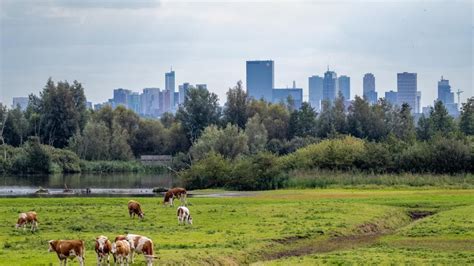 gisweb rotterdam|bodeminformatie rotterdam.
